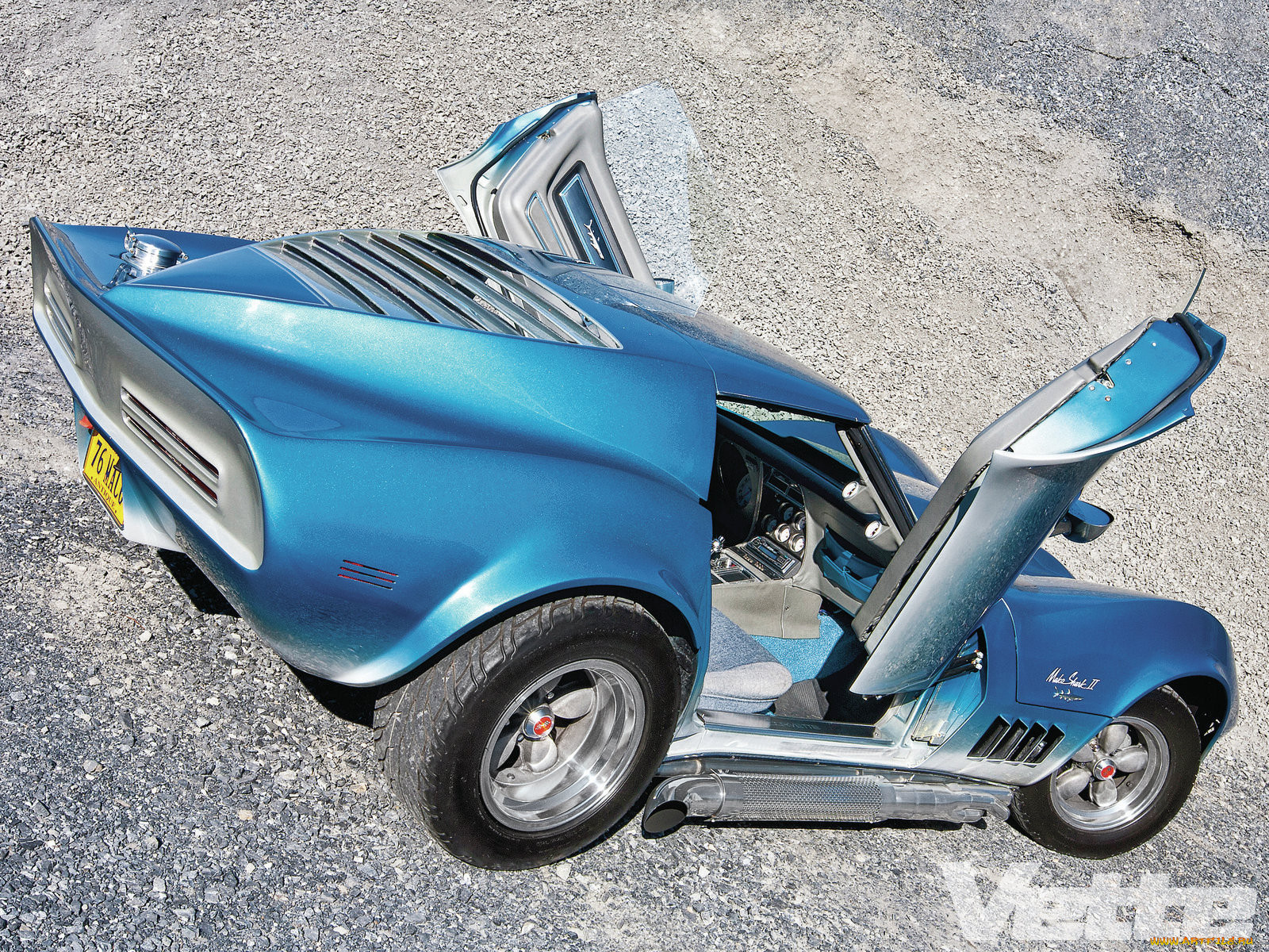 , corvette, shark